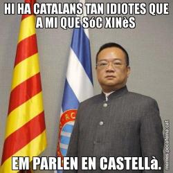HI HA CATALANS TAN IDIOTES QUE A MI QUE SóC XINèS EM PARLEN EN CASTELLà.