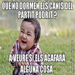 QUE NO DORMEN ELS CANIS DEL PARTIT PODRIT ? A VEURE SI ELS AGAFARÀ ALGUNA COSA