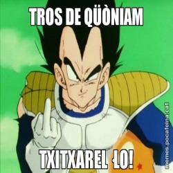 TROS DE QÜÒNIAM TXITXAREL·LO!