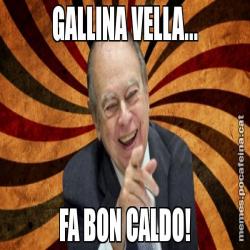 GALLINA VELLA... FA BON CALDO!