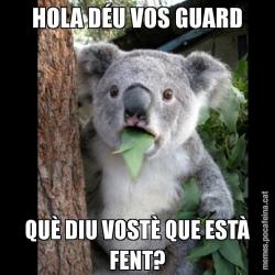 HOLA DÉU VOS GUARD QUÈ DIU VOSTÈ QUE ESTÀ FENT?