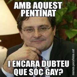 AMB AQUEST PENTINAT I ENCARA DUBTEU QUE SÓC GAY?