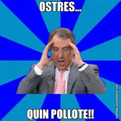 OSTRES... QUIN POLLOTE!!