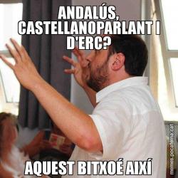 ANDALÚS, CASTELLANOPARLANT I D'ERC? AQUEST BITXOÉ AIXÍ