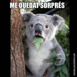 ME QUEDAT SORPRÉS