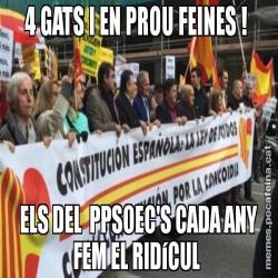 4 GATS I EN PROU FEINES !  ELS DEL  PPSOEC'S CADA ANY FEM EL RIDíCUL
