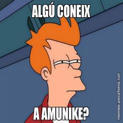 ALGÚ CONEIX A AMUNIKE?