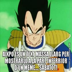 AIXPO ES UN TEXT MASSA LLARG PER MOSTRARLO A LA PART INFERRIOR D'UN MEME.... SABATOT!
