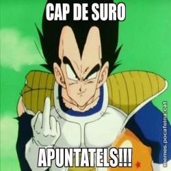CAP DE SURO APUNTATELS!!!