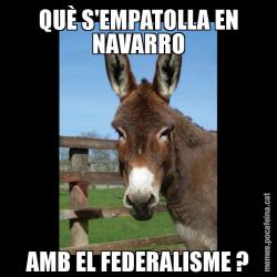 QUÈ S'EMPATOLLA EN NAVARRO AMB EL FEDERALISME ?