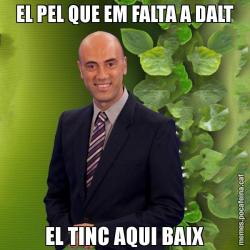 EL PEL QUE EM FALTA A DALT EL TINC AQUI BAIX
