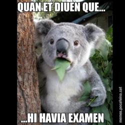 QUAN ET DIUEN QUE...  ...HI HAVIA EXAMEN