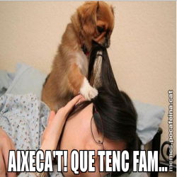 AIXECA'T! QUE TENC FAM...