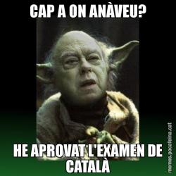 CAP A ON ANÀVEU? HE APROVAT L'EXAMEN DE CATALÀ