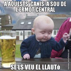 A AQUESTS 'CANIS' A SOU DE L'ERMOT CENTRAL SE'LS VEU EL LLAUTó
