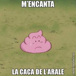 M'ENCANTA LA CACA DE L'ARALE