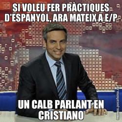 SI VOLEU FER PRÀCTIQUES D'ESPANYOL, ARA MATEIX A E/P UN CALB PARLANT EN CRISTIANO