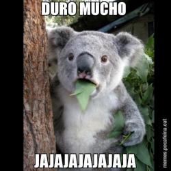 DURO MUCHO  JAJAJAJAJAJAJA