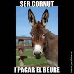 SER CORNUT I PAGAR EL BEURE