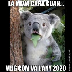 LA MEVA CARA CUAN... VEIG COM VA L'ANY 2020