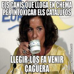ELS CANIS QUE LLOGA EN CHEMA PER INTOXICAR ELS CATALUFOS LLEGIR-LOS FA VENIR CAGUERA