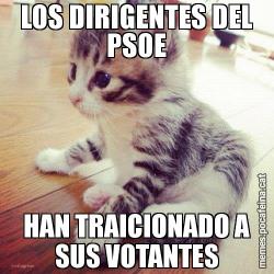 LOS DIRIGENTES DEL PSOE HAN TRAICIONADO A SUS VOTANTES
