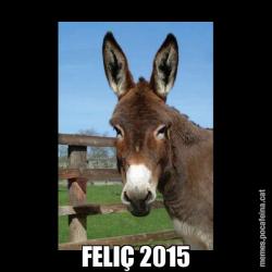 FELIÇ 2015