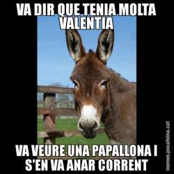 VA DIR QUE TENIA MOLTA VALENTIA VA VEURE UNA PAPALLONA I S'EN VA ANAR CORRENT