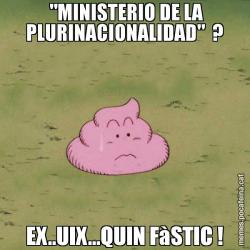 "MINISTERIO DE LA PLURINACIONALIDAD"  ? EX..UIX...QUIN FàSTIC !