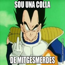 SOU UNA COLLA DE MITGESMERDES