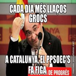CADA DIA MÉS LLAÇOS GROCS A CATALUNYA, EL PPSOEC'S FA FIGA