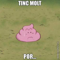TINC MOLT POR...