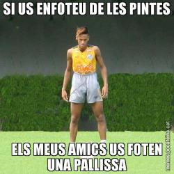 SI US ENFOTEU DE LES PINTES ELS MEUS AMICS US FOTEN UNA PALLISSA