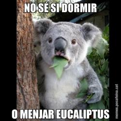 NO SÉ SI DORMIR O MENJAR EUCALIPTUS