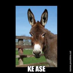 KE ASE