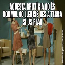 AQUESTA BRUTÍCIA NO ÉS NORMAL NO LLENCIS RES A TERRA SI US PLAU