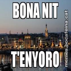 BONA NIT T'ENYORO