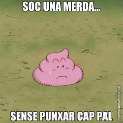 SOC UNA MERDA... SENSE PUNXAR CAP PAL