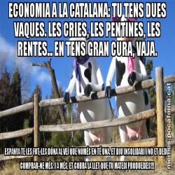 ECONOMIA A LA CATALANA: TU TENS DUES VAQUES. LES CRIES, LES PENTINES, LES RENTES... EN TENS GRAN CURA, VAJA. ESPANYA TE LES FOT, LES DÓNA AL VEÍ QUE NOMÉS EN TÉ UNA. ET DIU INSOLIDARI I NO ET DEIXA COMPRAR-NE MÉS. I A MÉS, ET COBRA LA LLET QUE TU MATEIX PRODUEIXES!!!
