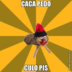 CACA PEDO CULO PIS