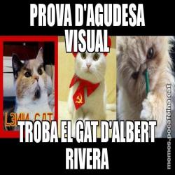 PROVA D'AGUDESA VISUAL TROBA EL GAT D'ALBERT RIVERA