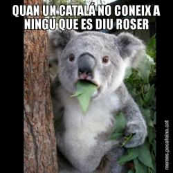QUAN UN CATALÁ NO CONEIX A NINGU QUE ES DIU ROSER