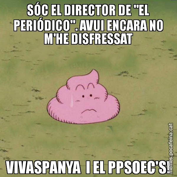 SÓC EL DIRECTOR DE "EL PERIÓDICO". AVUI ENCARA NO M'HE DISFRESSAT VIVASPANYA  I EL PPSOEC'S! - Caca