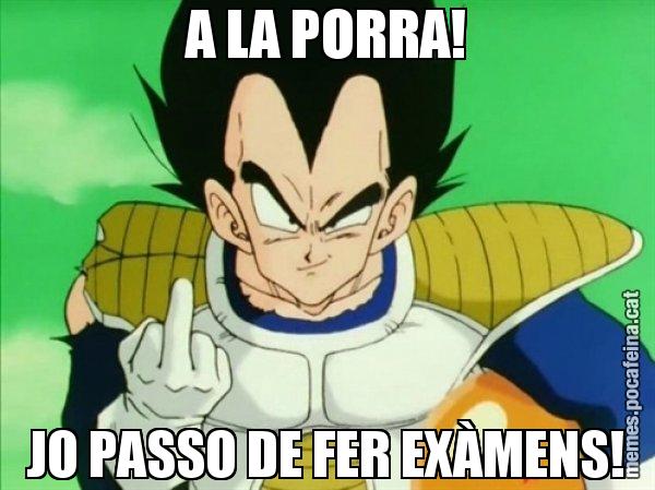 A LA PORRA! JO PASSO DE FER EXÀMENS! - Vegeta