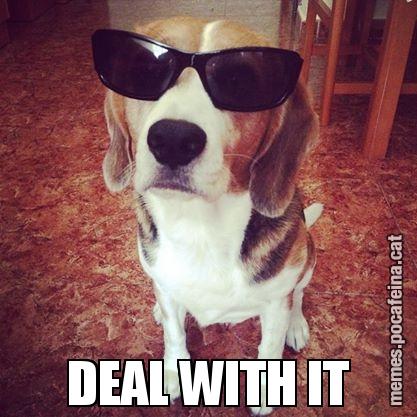 DEAL WITH IT