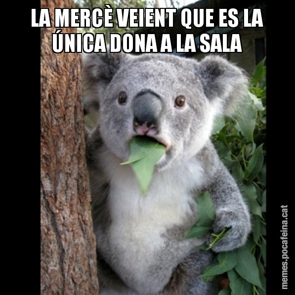 LA MERCÈ VEIENT QUE ES LA ÚNICA DONA A LA SALA - Koala Cant Believe It