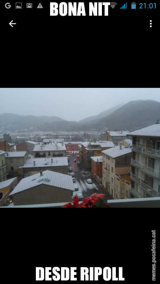 BONA NIT DESDE RIPOLL