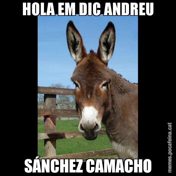 HOLA EM DIC ANDREU SÁNCHEZ CAMACHO - El burro Català