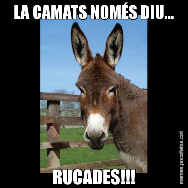 LA CAMATS NOMÉS DIU... RUCADES!!! - El burro Català