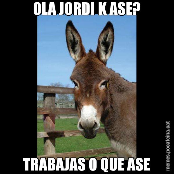 OLA JORDI K ASE? TRABAJAS O QUE ASE - El burro Català